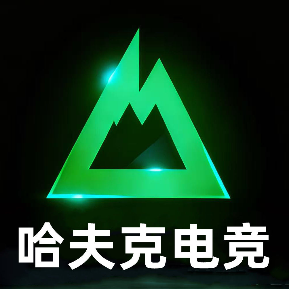 哈夫克电竞