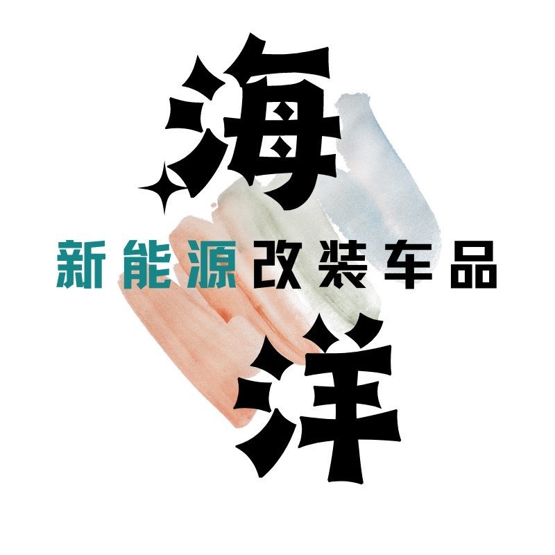 海洋比亚迪海豚改装车品