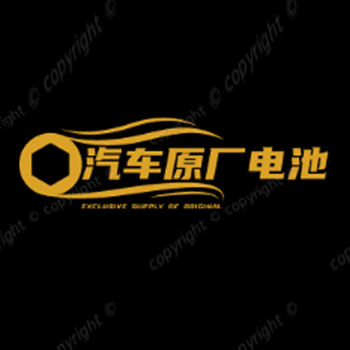 汽车原厂电池专供