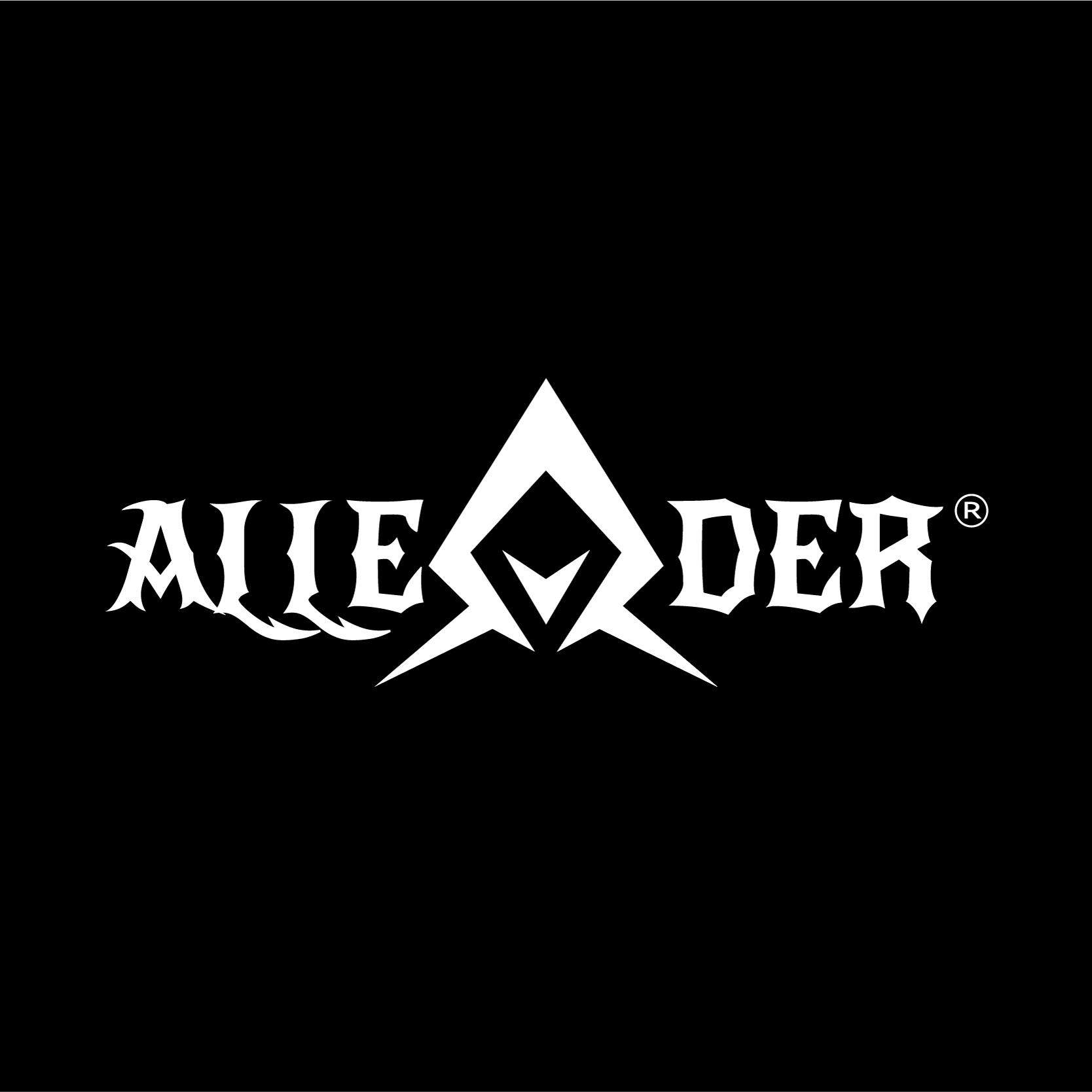 ALLEADER海外旗舰店