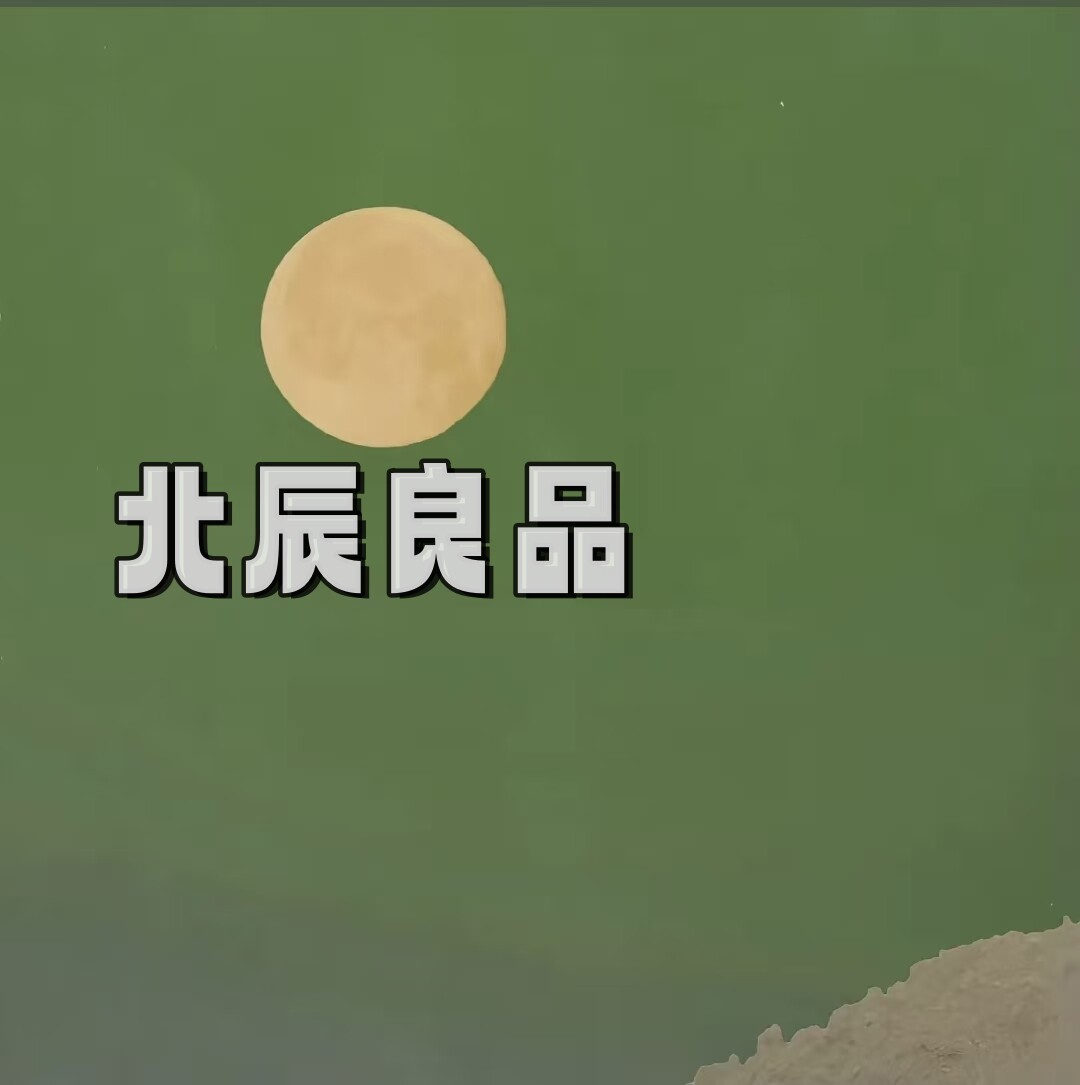 北辰良品