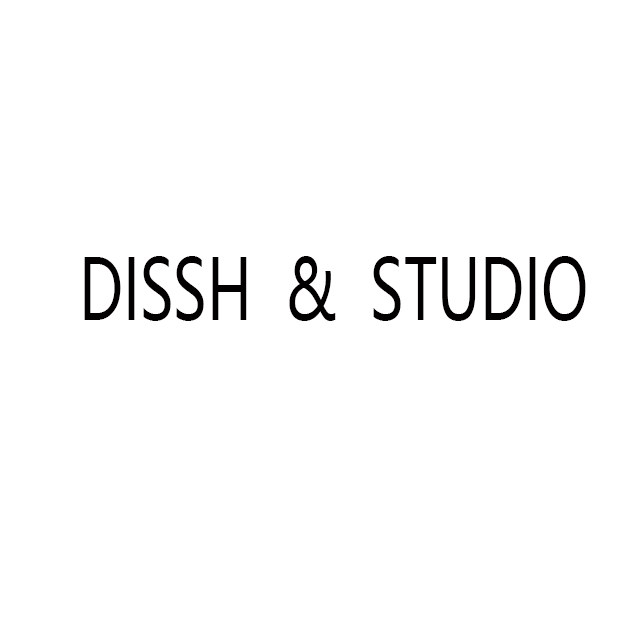 dissh studio