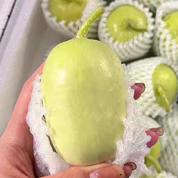 果蔬之黄瓜