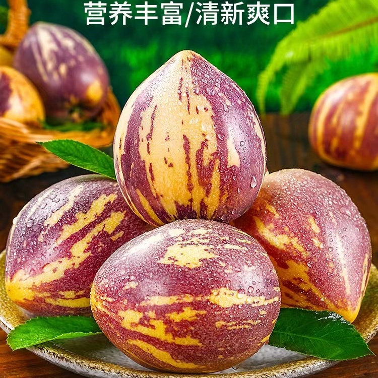 甘肃民勤沙漠蜜瓜人参果产地直发