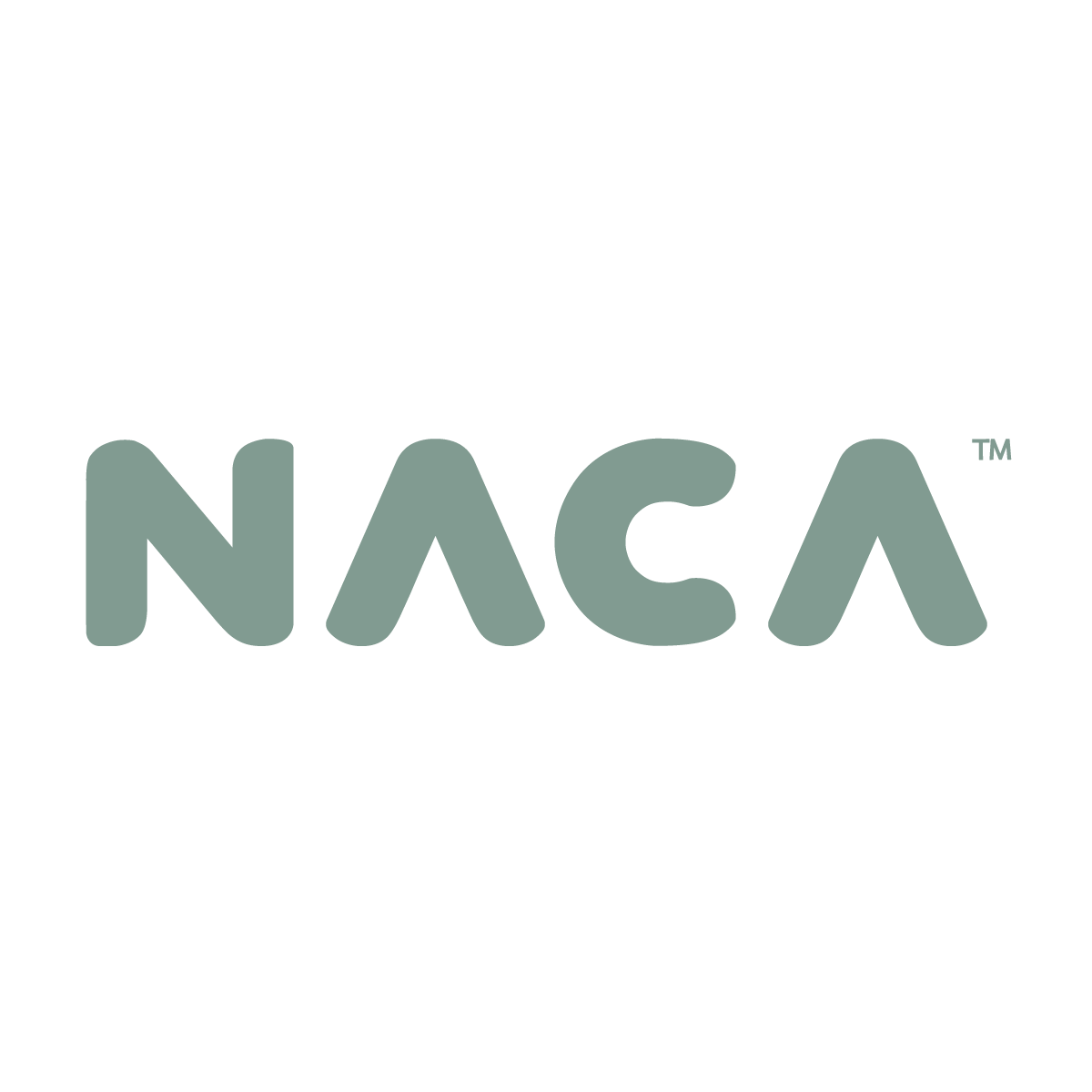 NACA企业店 店铺LOGO
