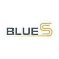 BLUES企业店 店铺LOGO
