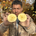 新疆生鲜水果种植合作社