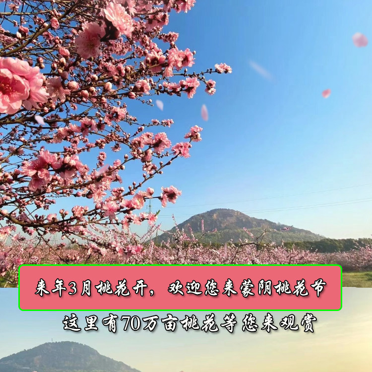 满桃红桃花园