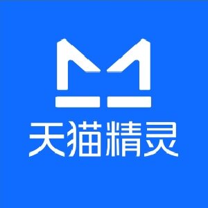 天猫精灵迅存专卖店