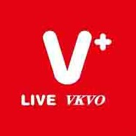 vkvo化妆品旗舰店