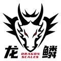 龙鳞安保器材