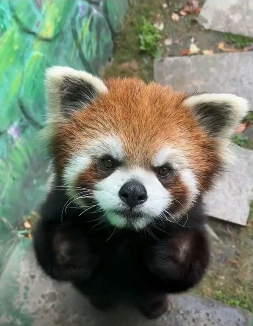 经纬科技工作室