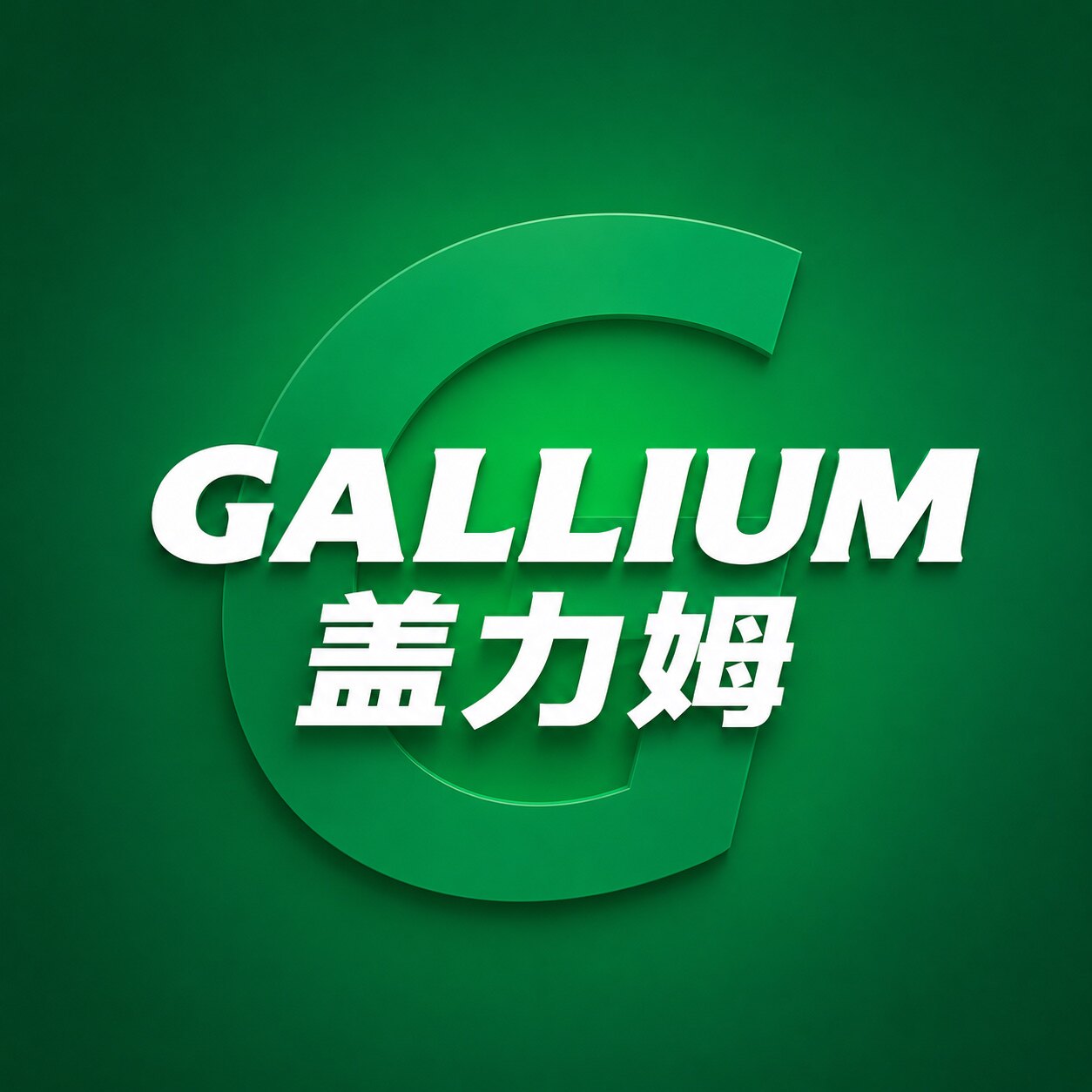 GALLIUM盖力姆企业店
