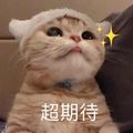 一只猫家时尚女鞋