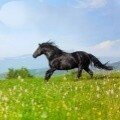 兴盛烘焙塑料包装