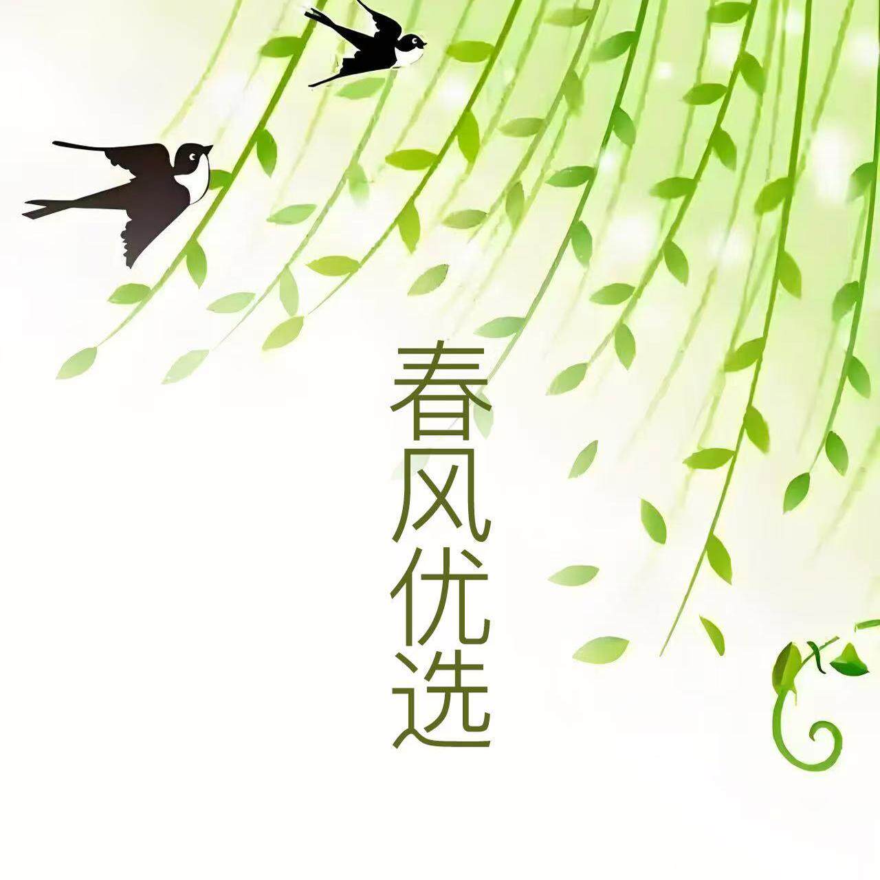 春风e优选 店铺LOGO