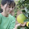 正宗赣南特产 甄选品质