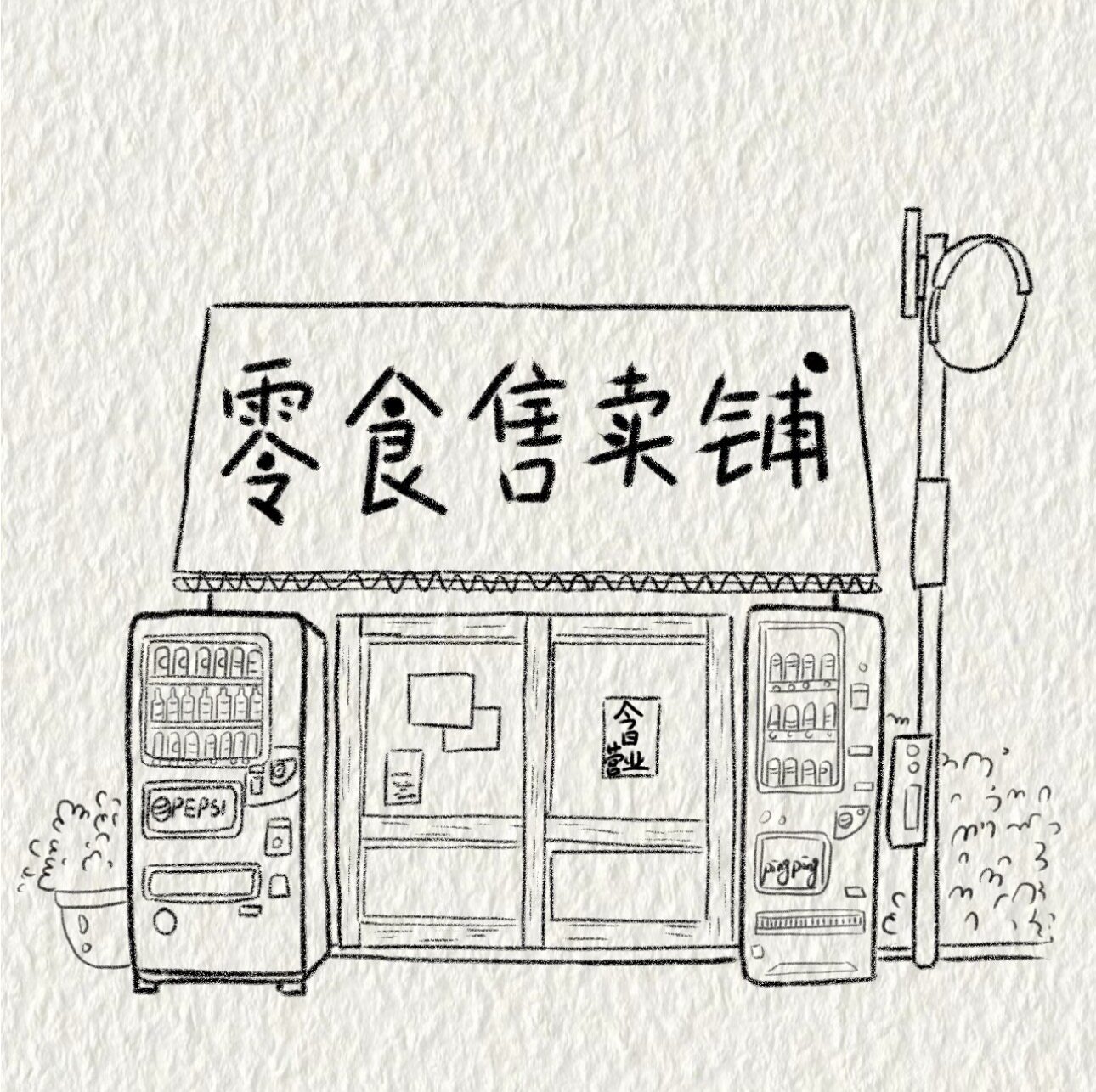 小杨零食日记