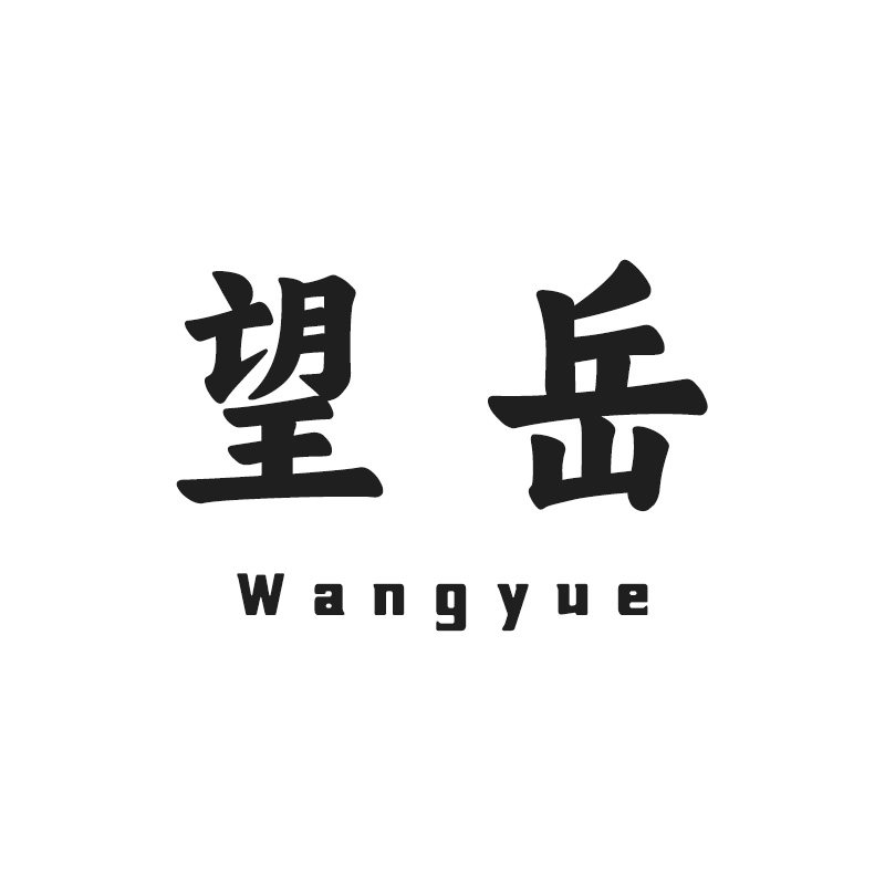 望岳照明
