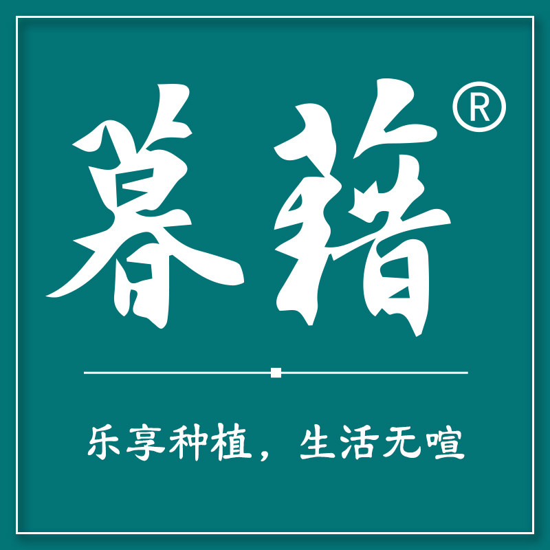暮藉旗舰店 店铺LOGO