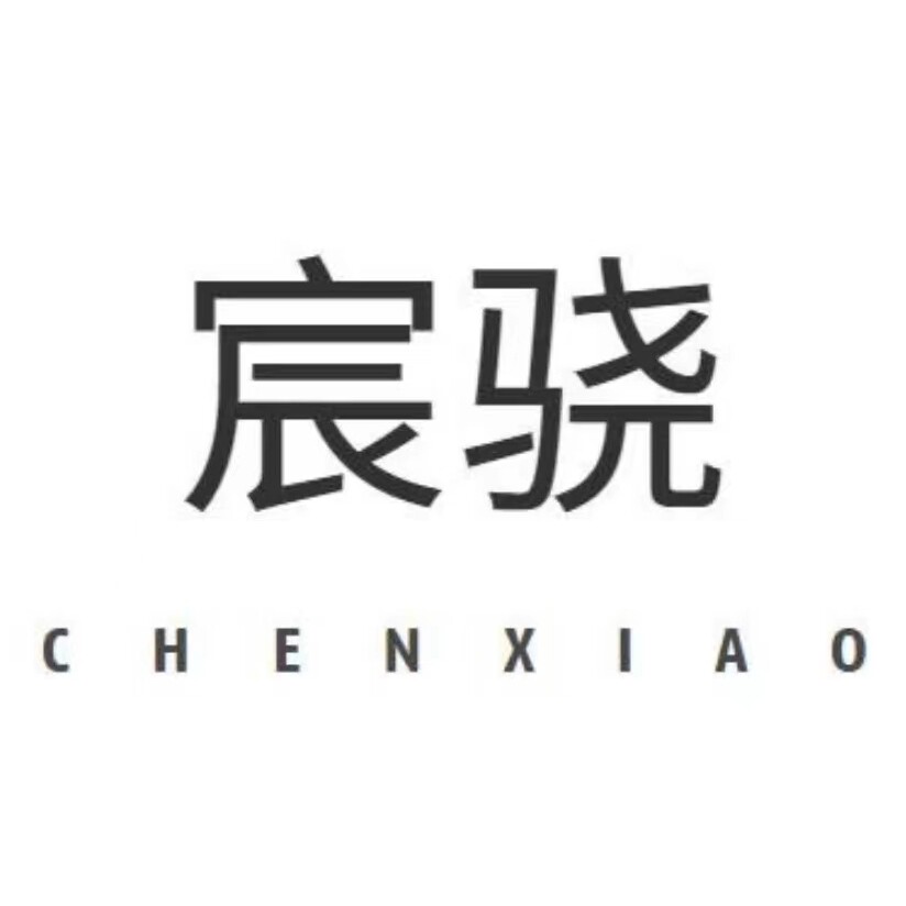 宸骁旗舰店 店铺LOGO