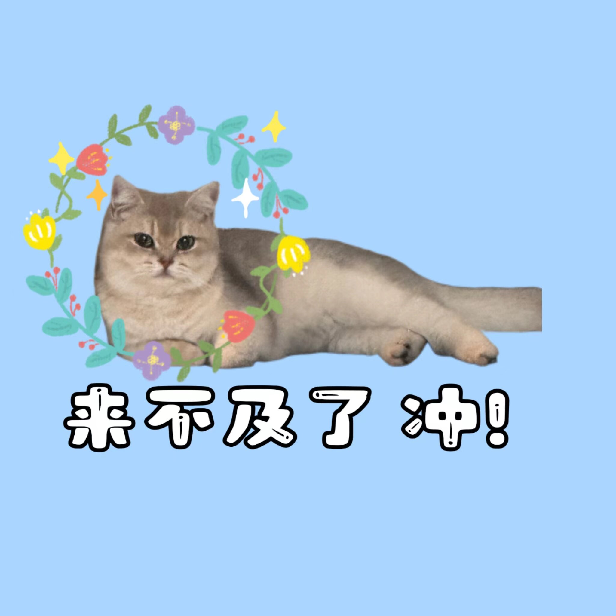 来不及了冲