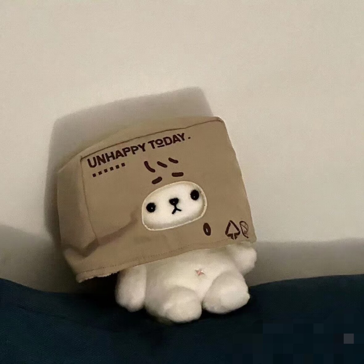 袋子里的猫