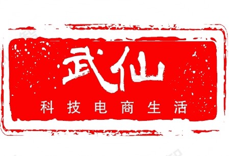武仙电商 武走忧伤