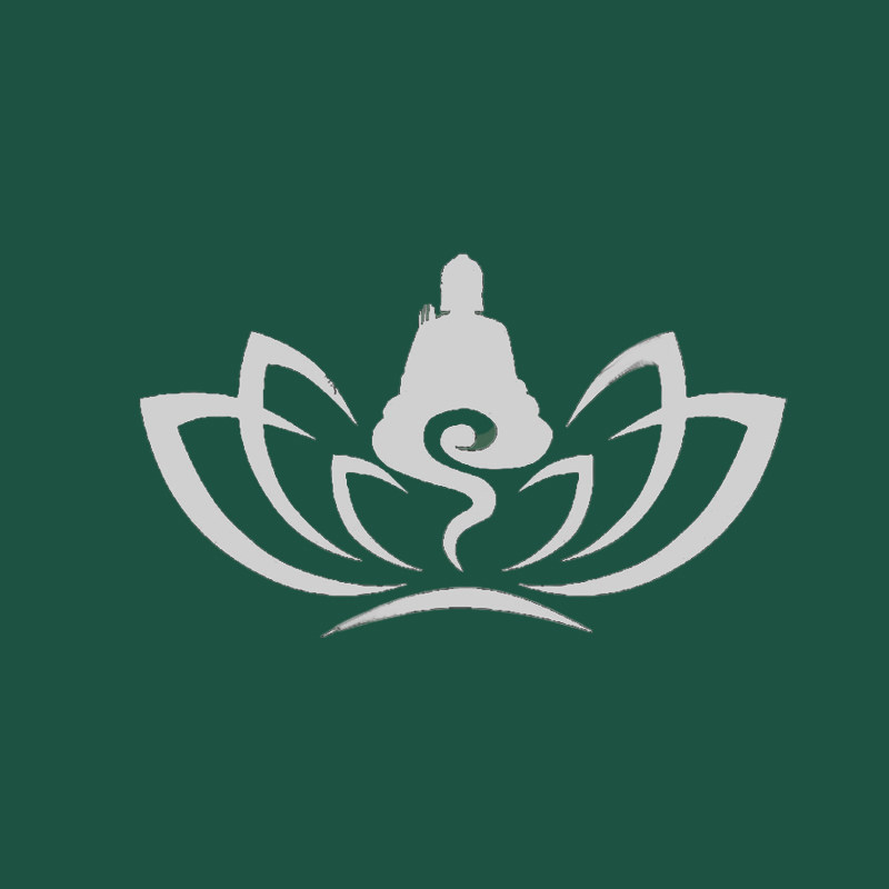 普陀山遇见