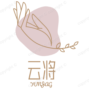 云将旗舰店