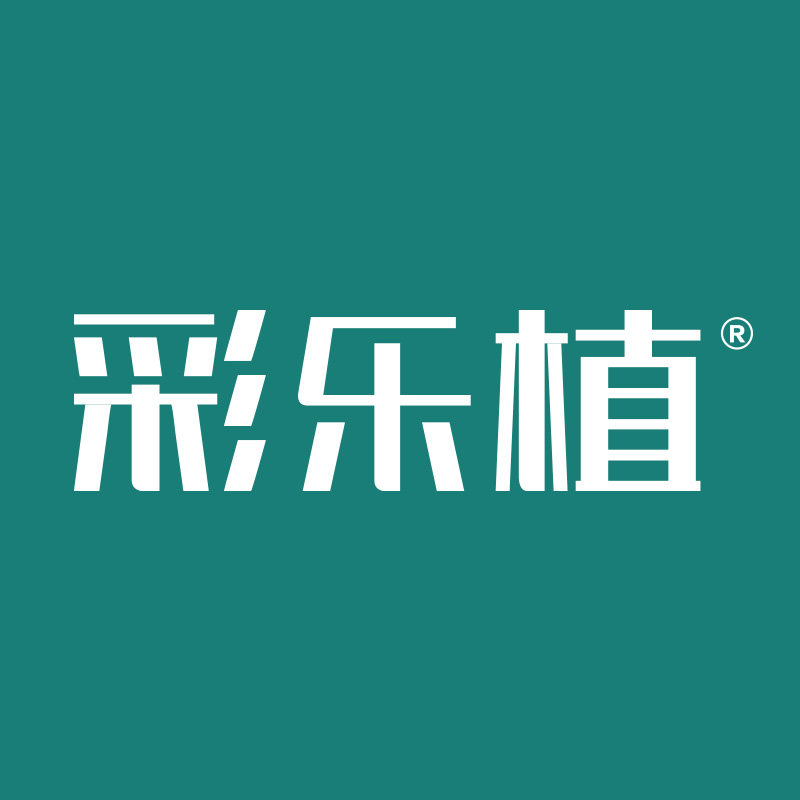 彩乐植旗舰店 店铺LOGO