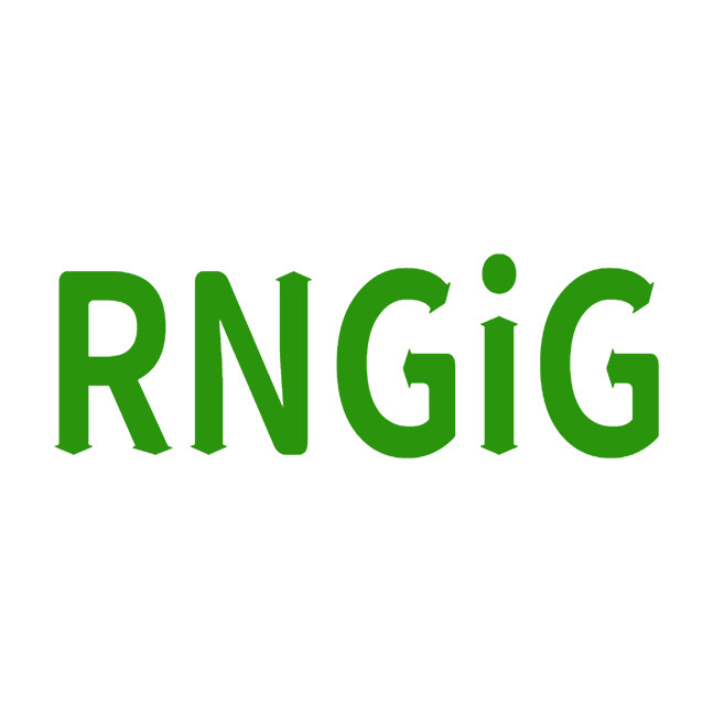 rngig家具旗舰店