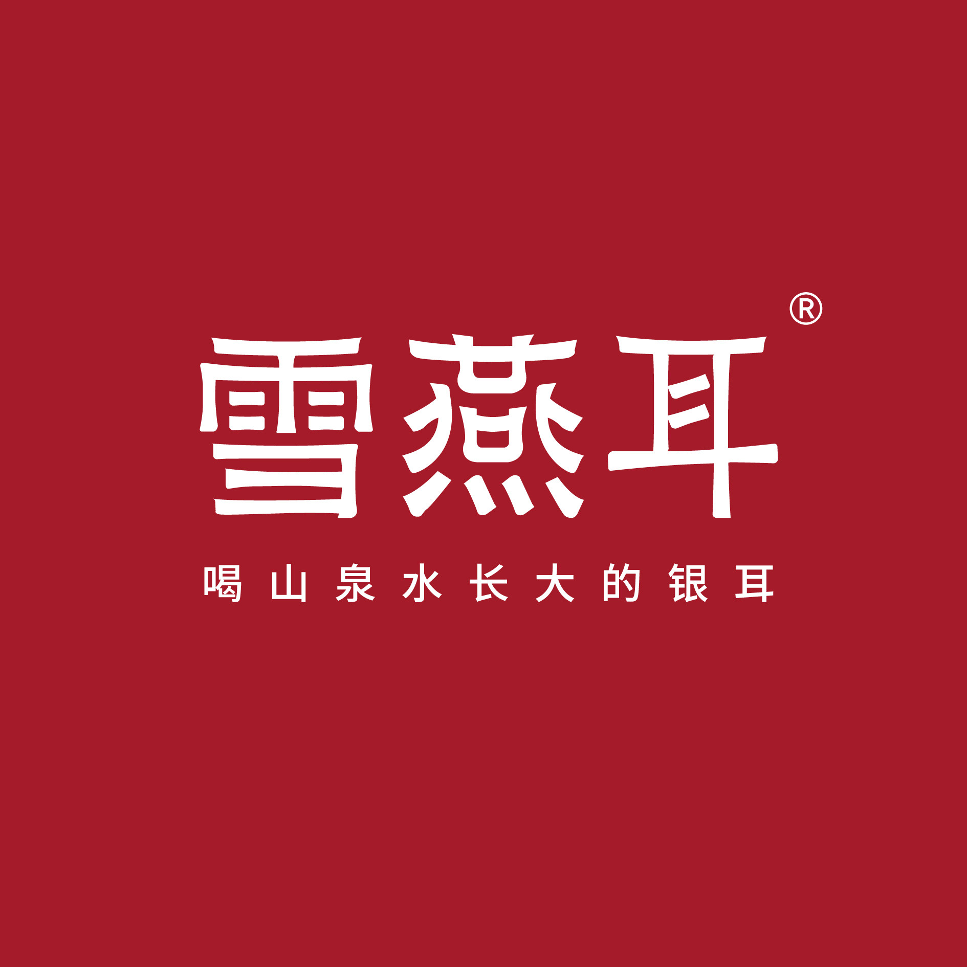 雪燕耳旗舰店