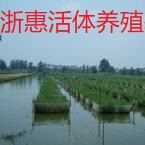 浙惠活体养殖基地