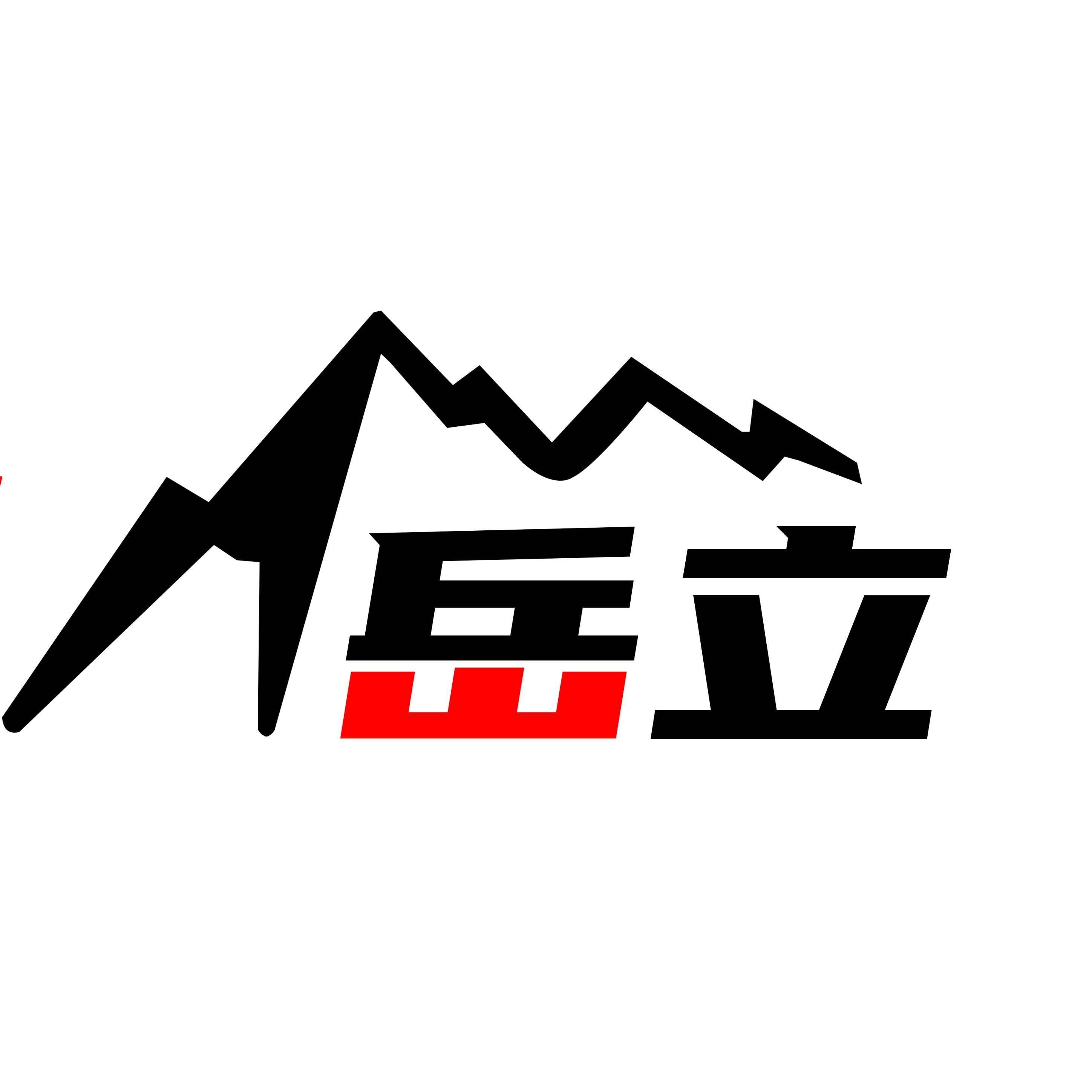 岳立旗舰店