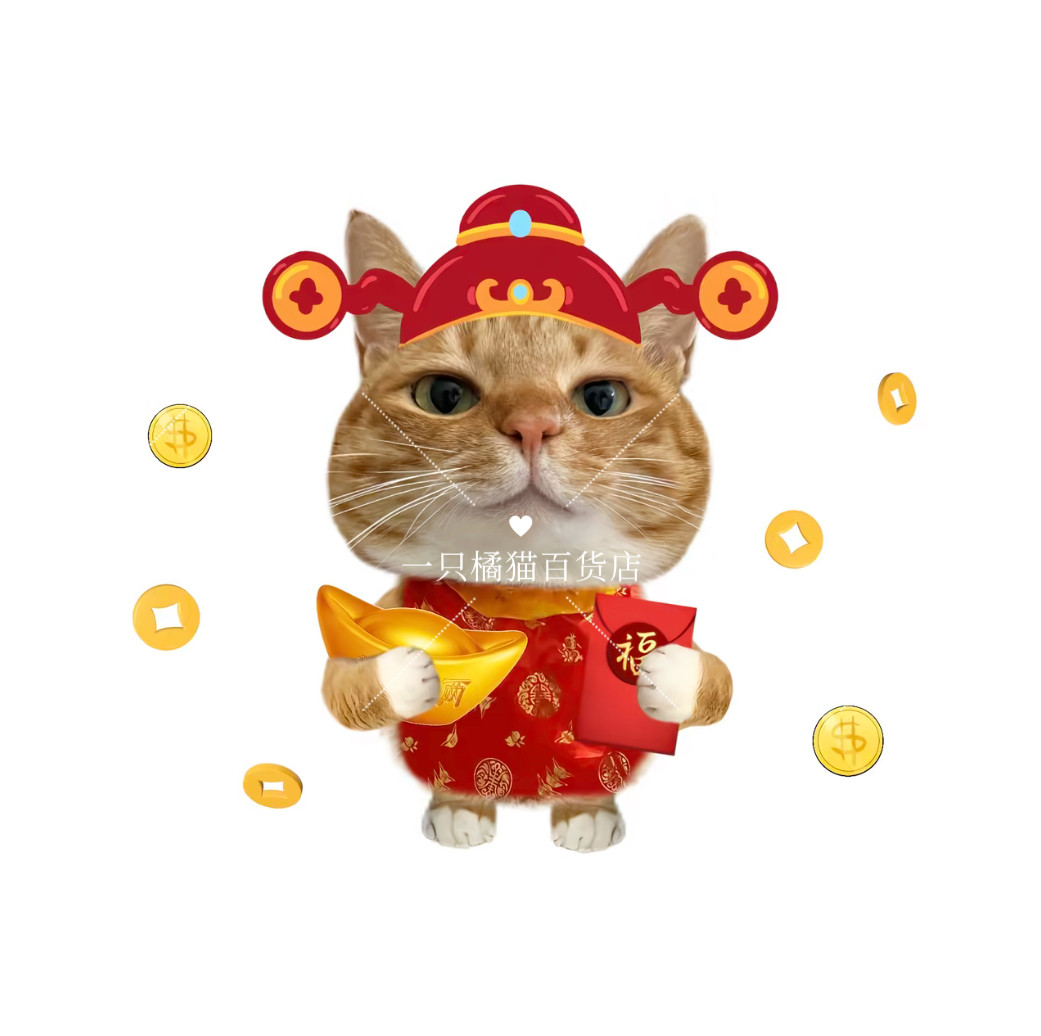 一只橘猫百货店