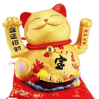 国际专业护肤护理