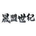 晟盟世纪旗舰店 店铺LOGO