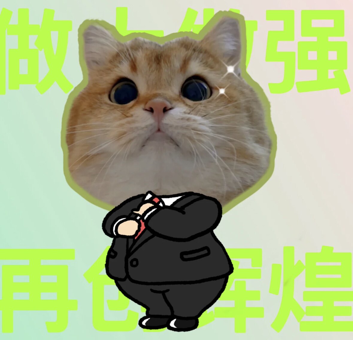 鱼宴的球 只卖正品