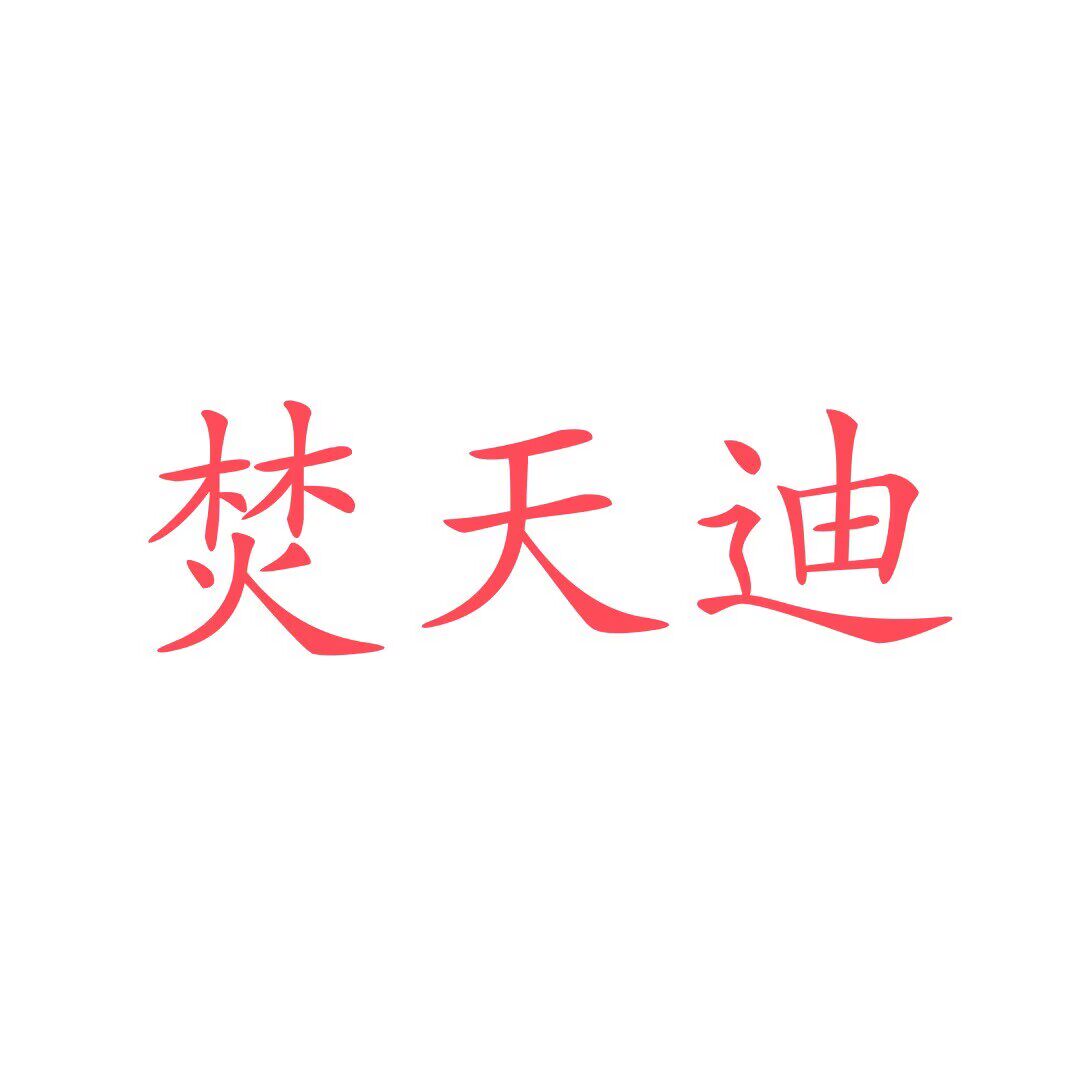 焚天迪旗舰店 店铺LOGO