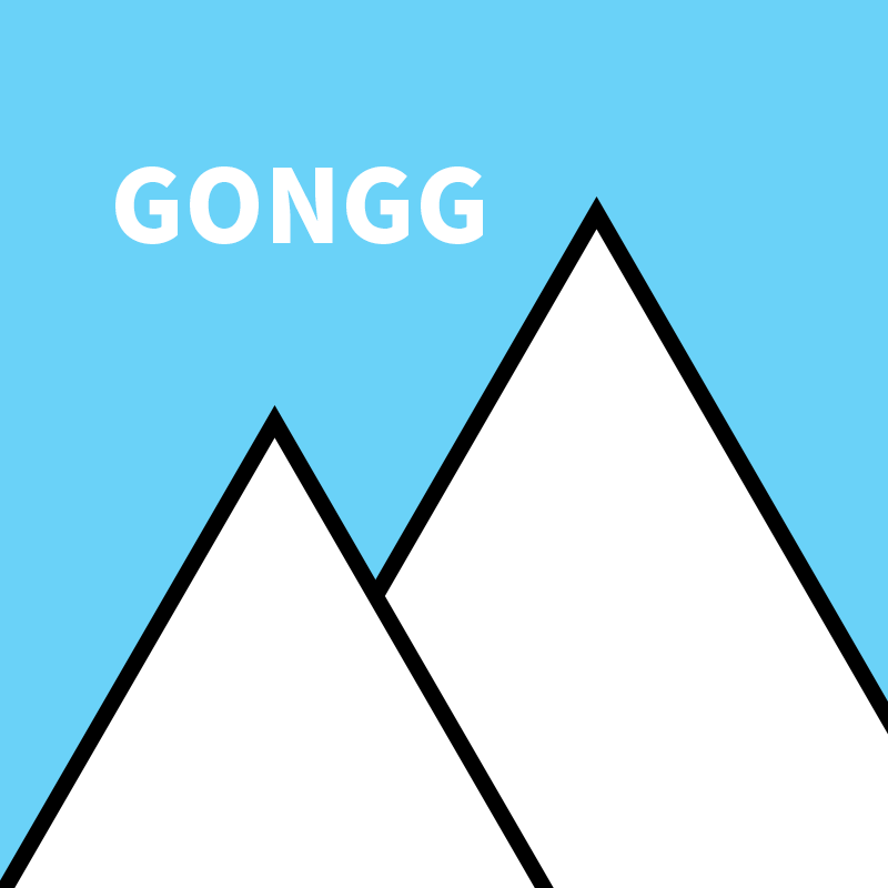 冈极GONGG 店铺LOGO