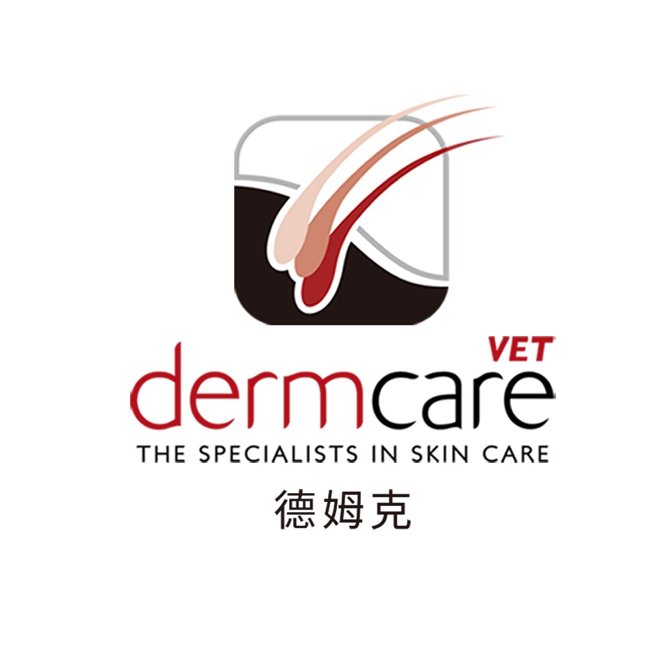 德姆克旗舰店