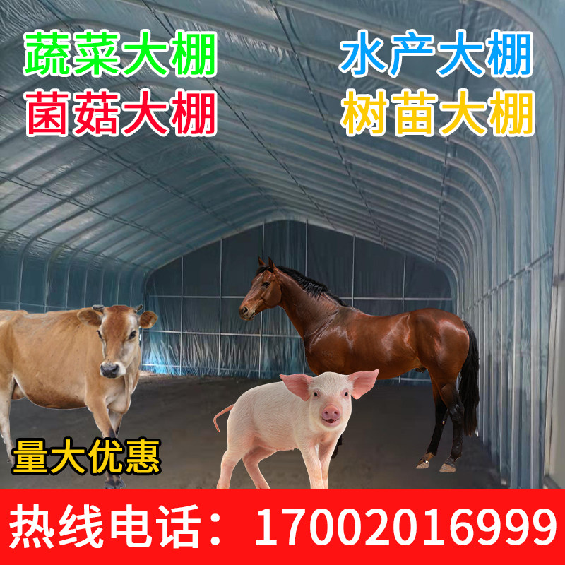 广东大棚实体厂家