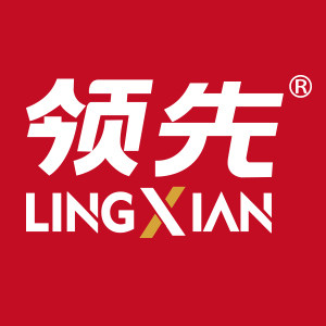 领先旗舰店