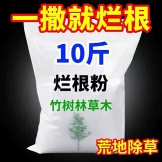 夏去秋已来的小店