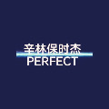 辛林保时杰官方店