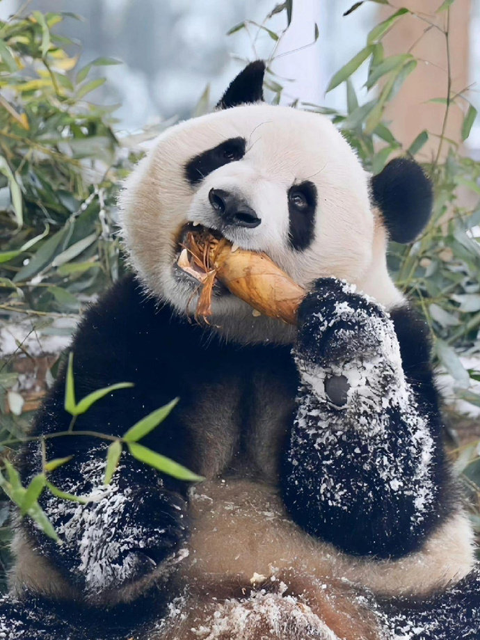童趣世界馆