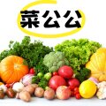 菜公公园艺