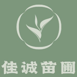 佳诚苗圃