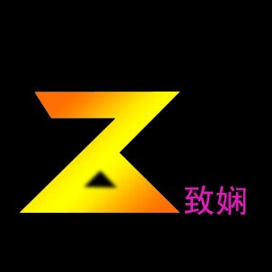 致娴数码配件旗舰店
